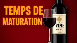 Miniature : Pourquoi le temps de fermentation du vin est si important  Faire du vin maison
