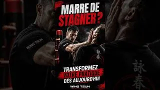 Miniature : Wing Tsun Evolution : La Maîtrise Totale (Programmes 1 à 12) 🥋