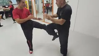 Miniature : attaquer sans pause exercice au Wing tsun Evolution