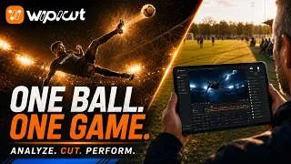 Miniature : Wipicut — One Ball, One Game | Analyze. Cut. Perform.