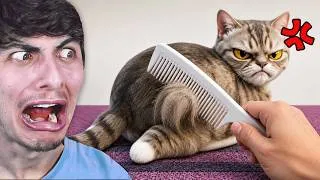Miniature : JE DOIS PEIGNER CE CHAT ÉNERVÉ POUR GAGNER...