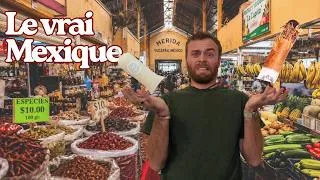 Miniature : EP46 : ON DÉCOUVRE LE MARCHÉ LE PLUS FOU DU MEXIQUE 🇲🇽