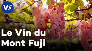 Miniature : Japon : le vin sacré au pied du Mont Fuji | Des vignes et des hommes