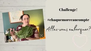Miniature : Challenge #chaquemorceaucompte, allez-vous embarquer?