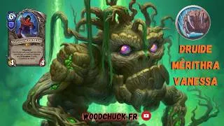Miniature : Hearthstone - Druide Mérithra ( avec Vanessa ) - Woodchuck