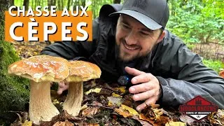 Miniature : CUEILLETTE AUX CHAMPIGNONS pour débutant