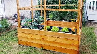 Miniature : LA JARDINIERE dont vous avez besoin ! Jardinière surélevée et grillagée