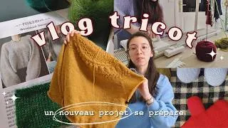 Miniature : ✶ Ranunculus, Annonce Nouveau Projet, Top Mohair (VLOG TRICOT) ✶