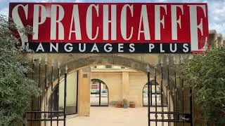 Miniature : Sprachcaffe Malte: Visite de l’école de langue - Pembroke l Worddy.co