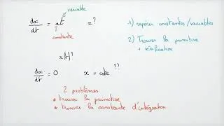 Miniature : Intégration & primitives