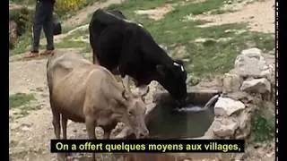 Miniature : De l'or dans nos poubelles (Version Française)