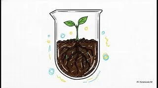 Miniature : la culture in vitro (micropropagation)