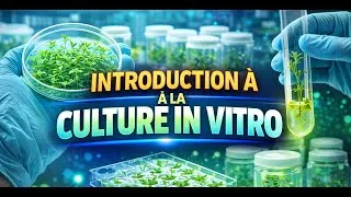 Miniature : Introduction à La Culture Végétale In Vitro