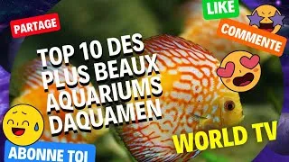 Miniature : TOP-10 DES PLUS BEAUX AQUARIUMS D'AQUAMEN