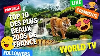 Miniature : TOP 5 DES ZOOS DE FRANCE