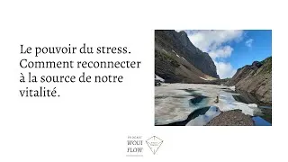 Miniature : Le pouvoir du stress. Comment reconnecter à la source de notre vitalité.