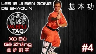 Miniature : JI BEN GONG N°4 Xū Bù Gē Zhǎng 虚 步 割 掌 | LES 18 JI BEN GONG DE SHAOLIN 基 本 功 | Tutoriel | Kung Fu