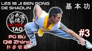 Miniature : JI BEN GONG N°3 Pū Bù Qiē Zhǎng 扑 步 切 掌 | LES 18 JI BEN GONG DE SHAOLIN 基 本 功 | Tutoriel | Kung Fu