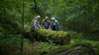 Miniature : S’ENGAGER POUR LE VIVANT - L'appel de la forêt