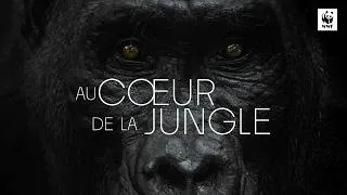 Miniature : AU COEUR DE LA JUNGLE - Le film (Laetitia Casta, Hugo Hebbe)