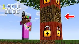 Miniature : Peut-on Finir Minecraft en Minant qu'1 SEULE FOIS les Blocs?