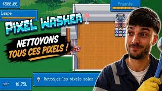 Miniature : LE COCHON QUI NETTOIE TOUT - Pixel Washer (Démo)