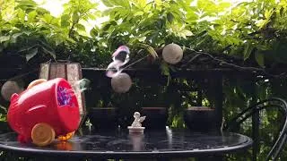 Miniature : Test vidéo du Samsung Galaxy Note 20 Ultra 5G: vidéo 4K, 60p, 21/9