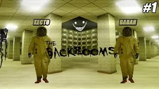 Miniature : On a voulu tester les backrooms...(Escape to the Backrooms).