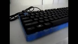 Miniature : Présentation clavier - Filco Majestouch 2 TKL + KOBO Light Blue Wood