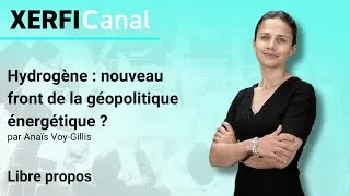 Miniature : Hydrogène : nouveau front de la géopolitique énergétique ? [Anaïs Voy-Gillis]