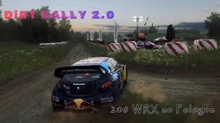 Miniature : Dirt Rally 2.0 (+mod ACAT) : 208 WRX en Pologne
