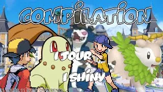 Miniature : ✨️ 1 jour, 1 shiny ✨| COMPILATION POKEMON 