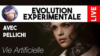 Miniature : L'évolution expérimentale avec Pellichi