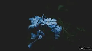 Miniature : FUTURE GARAGE/WAVE MIX [SUMMER IX]