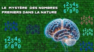 Miniature : 🔢 Les Mystères des Nombres Premiers : pourquoi sont-ils essentiels à la nature et à l’univers ?