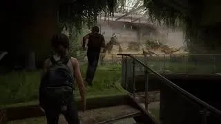 Miniature : musée the last of us 2 vraiment magnifique