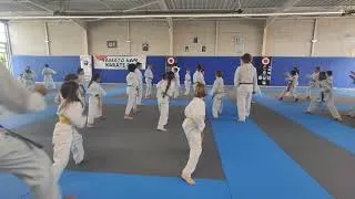 Miniature : Travail sur kata    Stage enfants YAMATO KAN karaté-Do 7 juin 2026