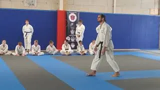 Miniature : Travail sur gedan barai    Stage enfants YAMATO KAN karaté-Do 7 juin 2026