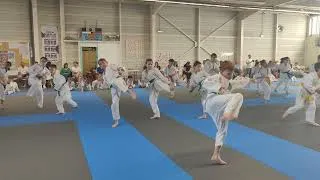 Miniature : kion mawashi  geri   Stage enfants YAMATO KAN karaté-Do 7 juin 2026