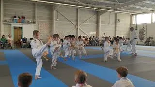 Miniature : kion mae geri   Stage enfants YAMATO KAN karaté-Do 7 juin 2026,