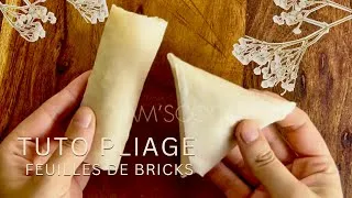 Miniature : TUTO PLIAGE FEUILLES DE BRICKS 🤎 Mes conseils faciles