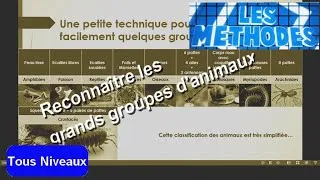 Miniature : MÉTHODE : Reconnaître facilement les grands groupes d'animaux