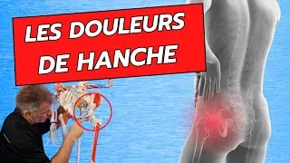 Miniature : Douleurs de Hanche : les Identifier et les Traiter - conseils d'un kinésithérapeute - ostéopathe