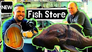 Miniature : AQUA AMAZON Holland - Il construit un MAGASIN D'AQUARIOPHILIE pour CORYDORAS, PLECO, DISCUS & Co