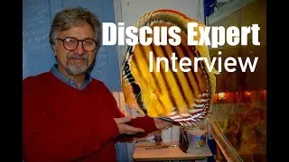 Miniature : Rencontre avec un JUGE INTERNATIONAL: INTERVIEW de Cüneyt Birol en France
