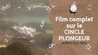 Miniature : FILM COMPLET SUR LE CINCLE PLONGEUR "Suis ton chemin" avec bande son originale. Sortie DVD 2016