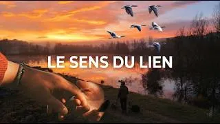 Miniature : Oies Cendrées : Ce que le peuple du ciel nous apprend sur l'unité