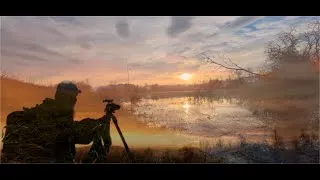 Miniature : Promenade photographique et affut animalier au bord d'un lac  - Sons naturels- ASMR