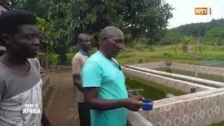 Miniature : [Made in Africa] Eponon Amoikon, une reconversion professionnelle réussie. Partie 2/2.