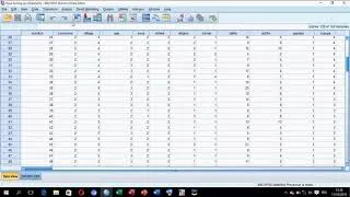 Miniature : Modifier les codifications sous le logiciel SPSS